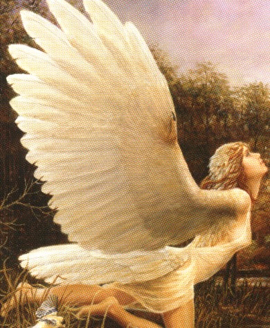 Angelspirit