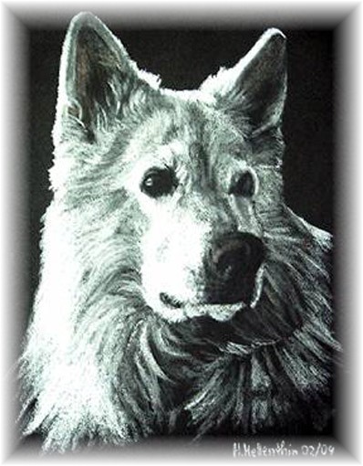 Saskia - Beraterbild 